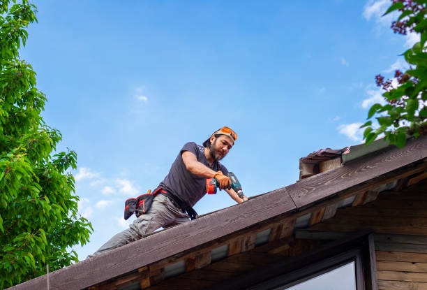Roof Coating Services in Wayne, MI