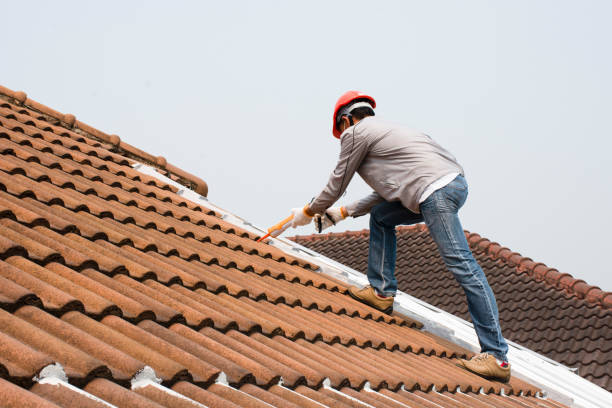 Best Roof Installation  in Wayne, MI