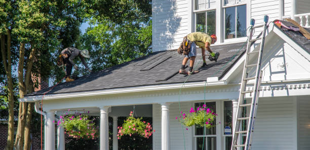 Best Roof Insulation Installation  in Wayne, MI